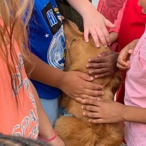 Meet your Posher, Kim